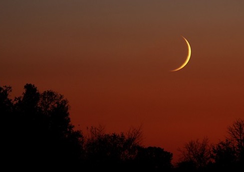 moon-crescent-hilal